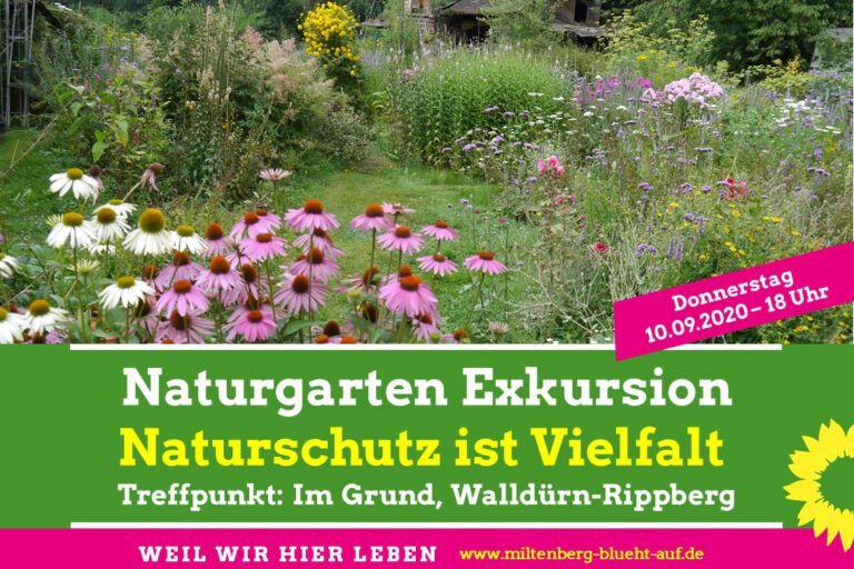 Exkursion in den Naturgarten in Rippberg