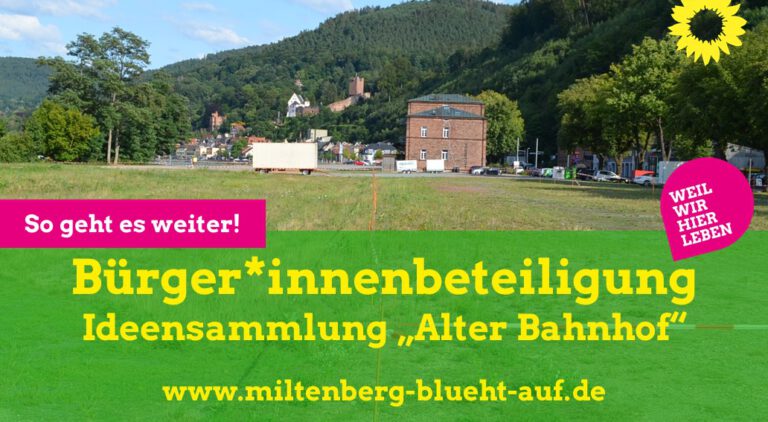 Miltenberg – Wie kann es weiter gehen?